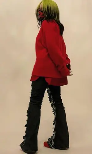 Billie Eilish wearing Siberia Hills other