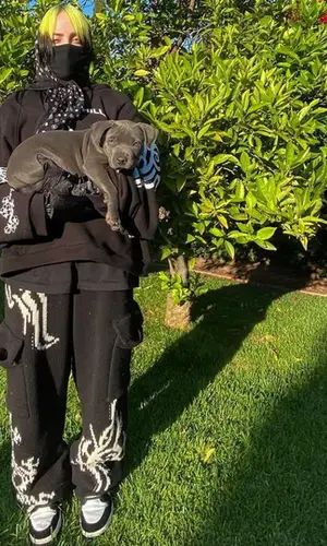 Billie Eilish wearing Siberia Hills pants