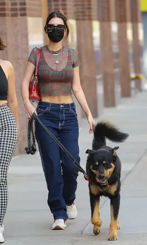 Emily Ratajkowski wearing Boodywear top