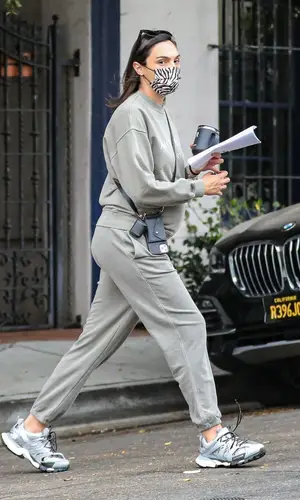 Gal Gadot wearing Anine Bing pants