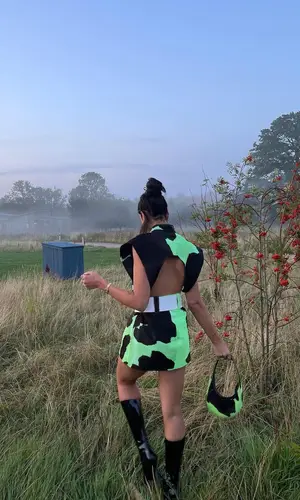 Dua Lipa wearing Mowalola other
