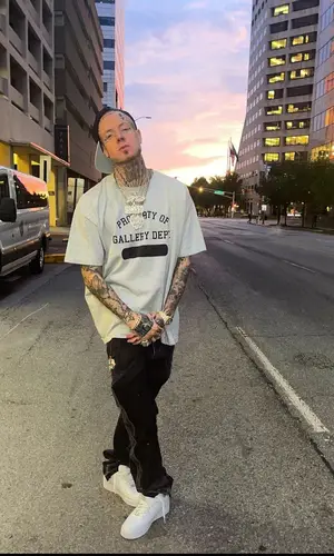 Millyz wearing Gallery Dept. t-shirt
