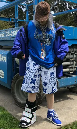 Billie Eilish wearing The North Face jacket