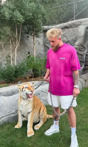 Jake Paul wearing Rhude sock