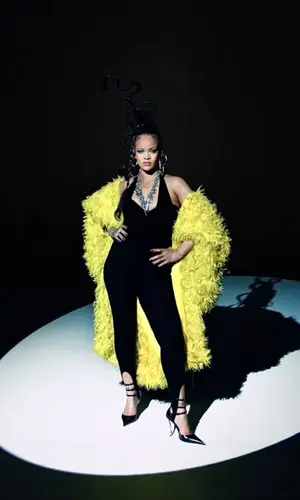 Rihanna wearing Area other