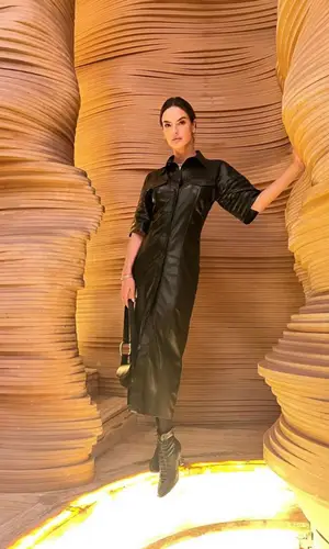 Alessandra Ambrosio wearing Nanushka other