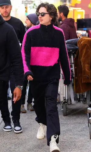 Timothee Chalamet wearing Louis Vuitton sweater