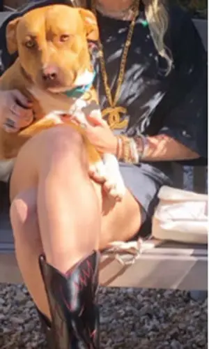 Miley Cyrus wearing Kat Mendehall boots
