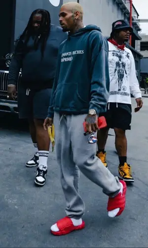 Chris Brown’s Outfit in Enfants Riches Deprimes Hoodie, Nike Pants & The Auracles Sandals (2023)