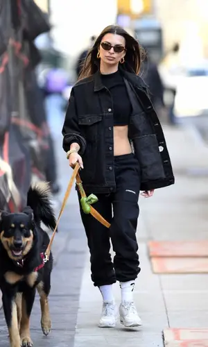 Emily Ratajkowski wearing Livincool pants