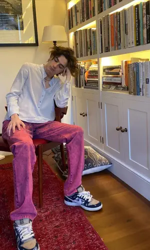 Timothee Chalamet wearing Stella McCartney other