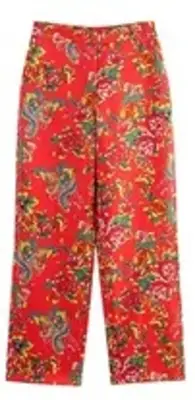 Pants in IShowSpeed’s closet