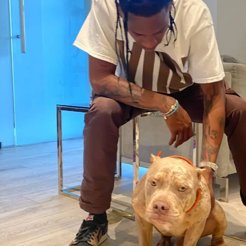 Travis Scott outfit in Travis Scott Merch, Alyx, and Nike, 2020