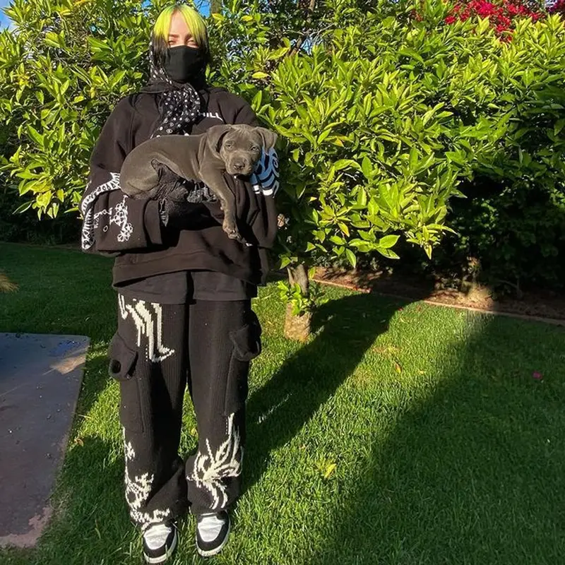 Billie Eilish outfit in Siberia Hills, Nike, and Fani, 2020