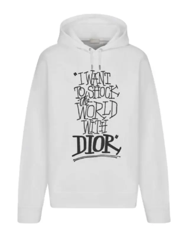 dior shawn hoodie