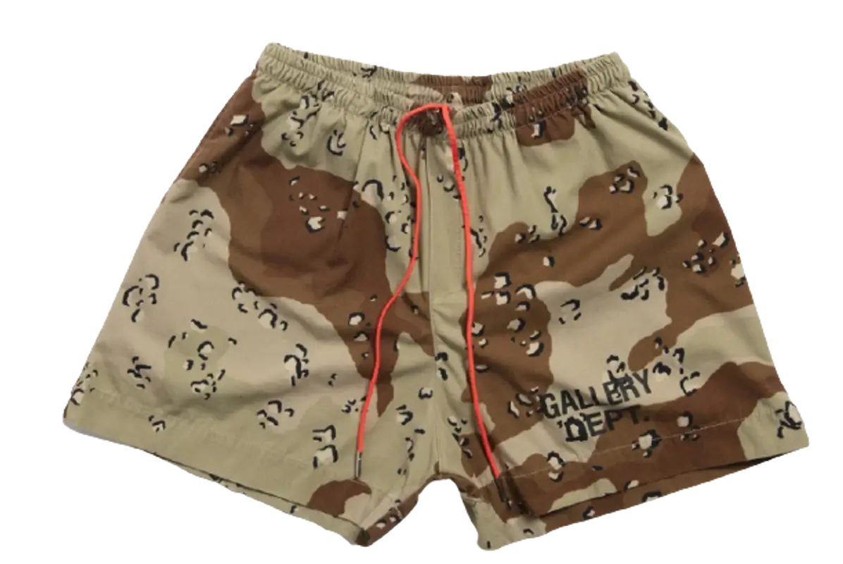 Gallery Dept. Chocolate Chip Zuma Shorts | WHAT'S ON THE STAR?