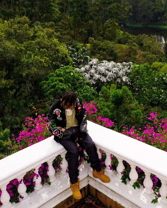 Don Toliver outfit in Bape, Carhartt WIP, and Timberland, 2021