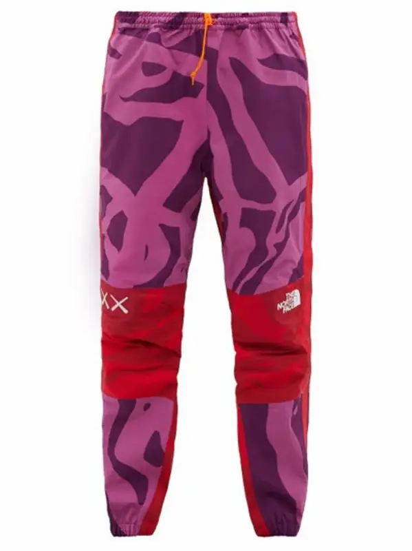 The North Face Mountain Ripstop Trousers In Purple $491