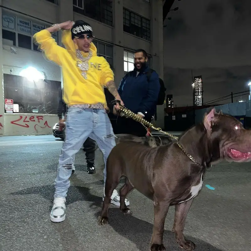 J.I. outfit in Celine, Amiri, and Louis Vuitton, 2021