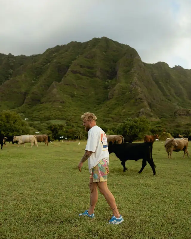 Jake Paul outfit in Rhude, Eric Emanuel, and Nike, 2022