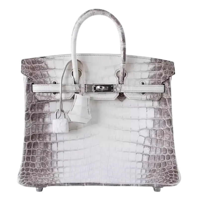 Hermes Birkin Himalayan Crocodile Matte 25 White Bag $14900