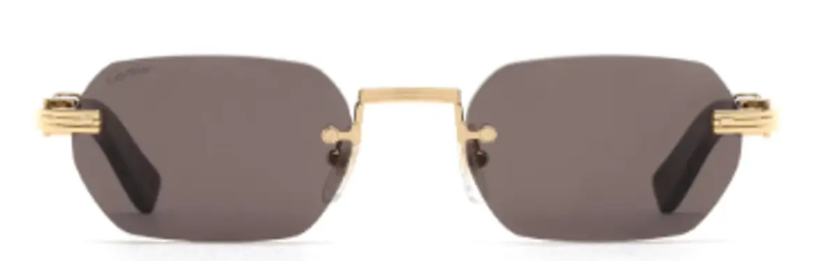 Cartier Rectangle Frame Sunglasses $3095