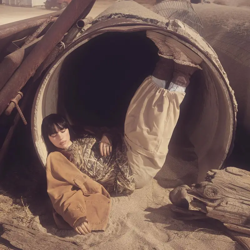 Billie Eilish outfit in Nike and Billie Eilish Merch, 2022