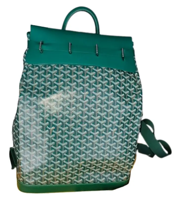 Goyard Steamer PM Backpack