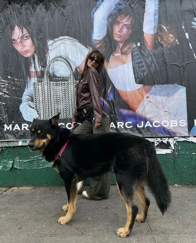 Emily Ratajkowski outfit in Marc Jacobs, Khaite, and Miu Miu, 2023