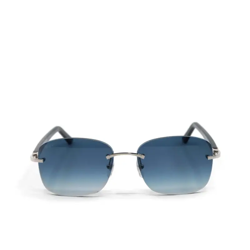 Cartier Silver-Blue CT0227S Sunglasses $1199