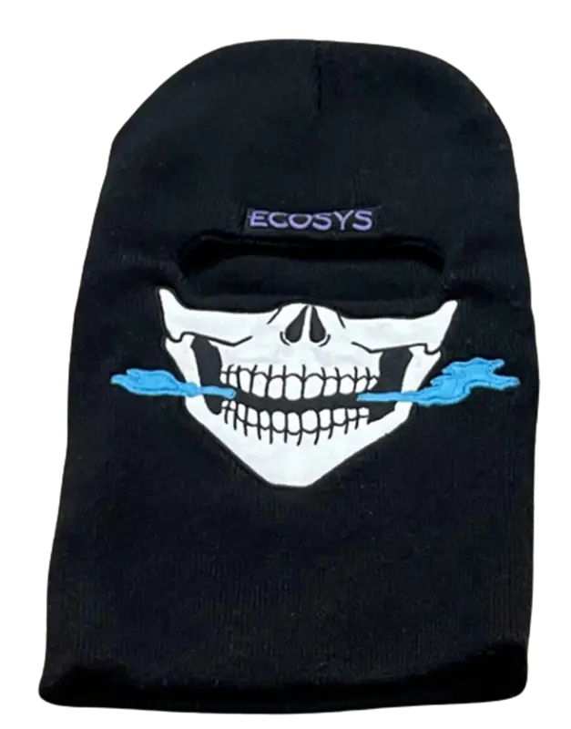 Ecosys La Skull Blue Ski Mask $80