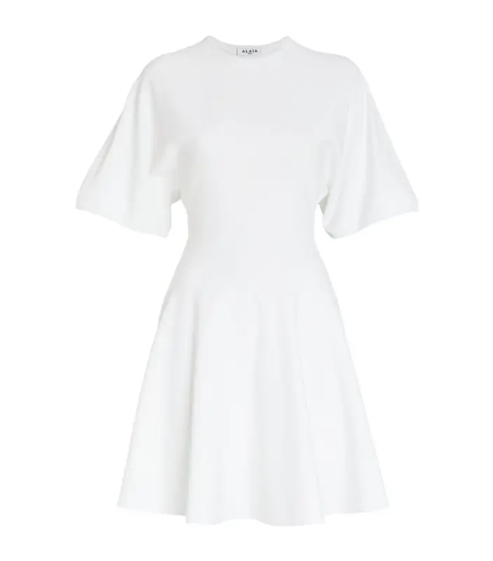 Alaïa Short-Sleeved Mini Dress $2500