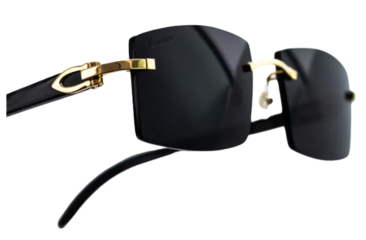 Cartier Black Horn Sunglasses $3076