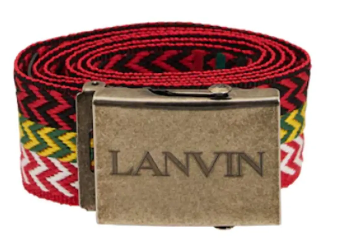 Lanvin Buttoned Chevron Print Belt  $390