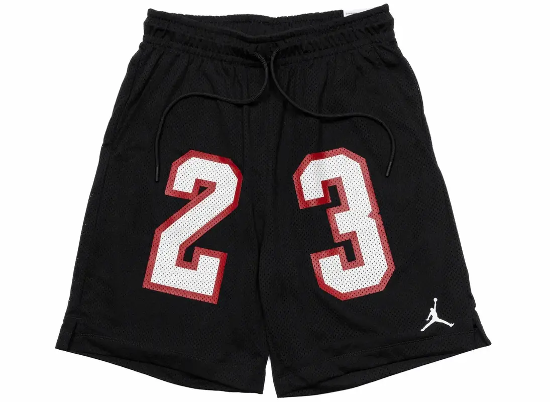 Jordan Essentials Mesh GFX 23 Shorts $61