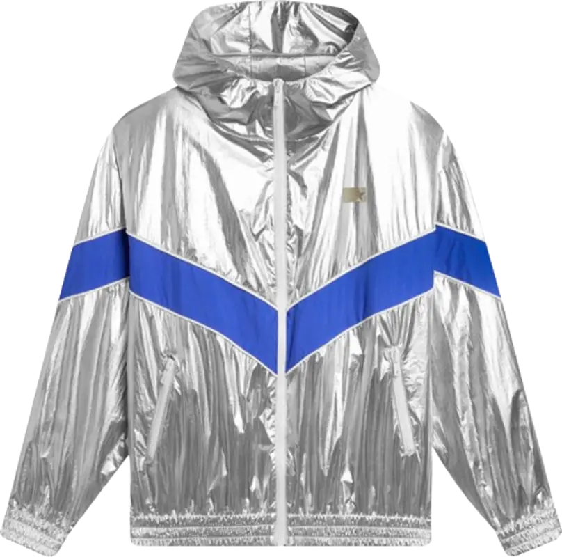 Golden Goose Metallic Silver & Blue-Stripe Windbreaker $625