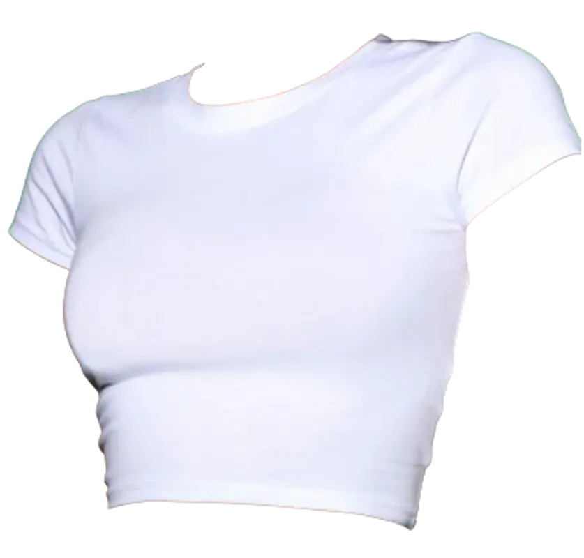 FashionNova Robin White Crop Top $6
