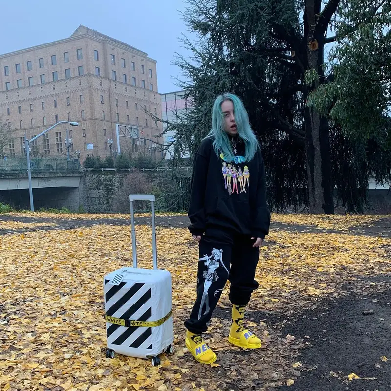 Billie Eilish outfit in Siberia Hills, Huf, and Nerdy, 2019