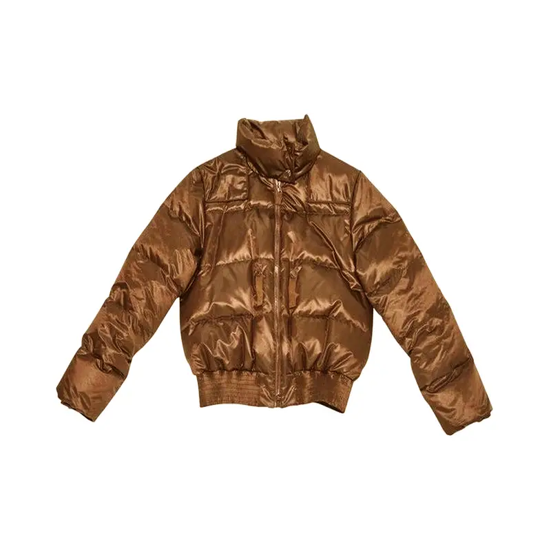 Dior Down Jacket $580