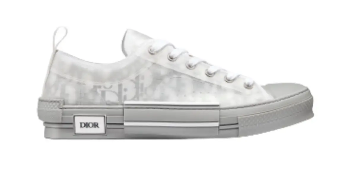 dior b23 low grey