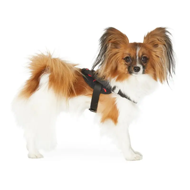 Marine Serre Marine Serre Ssense Exclusive Black Small Harness In Red All Ove $495