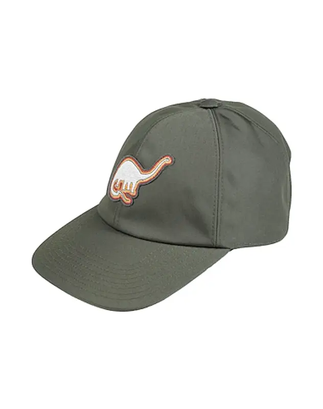 Lanvin Buttoned Hat In Gray $264