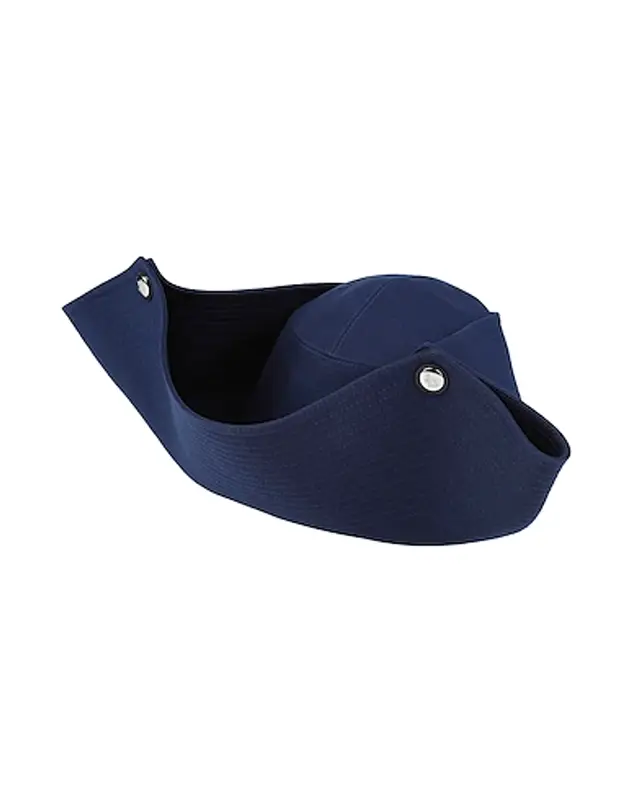 Lanvin Buttoned Hat In Blue $390