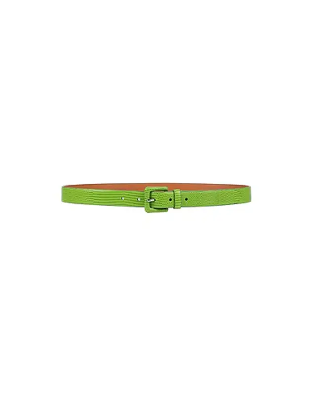Polo Ralph Lauren Regular Belt In Light Green $284