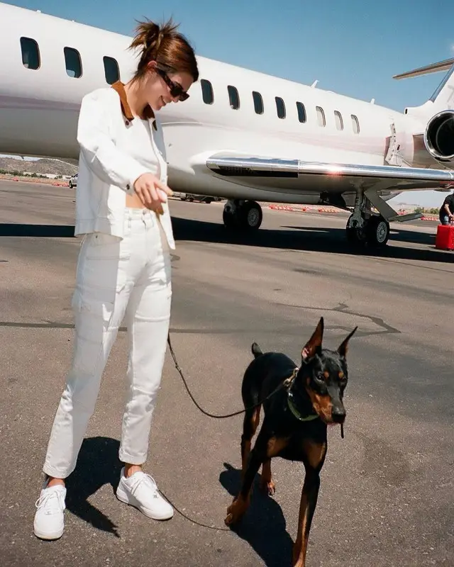 Kendall Jenner outfit in Slvrlake, Reality Eyewear, and Nike, 2020