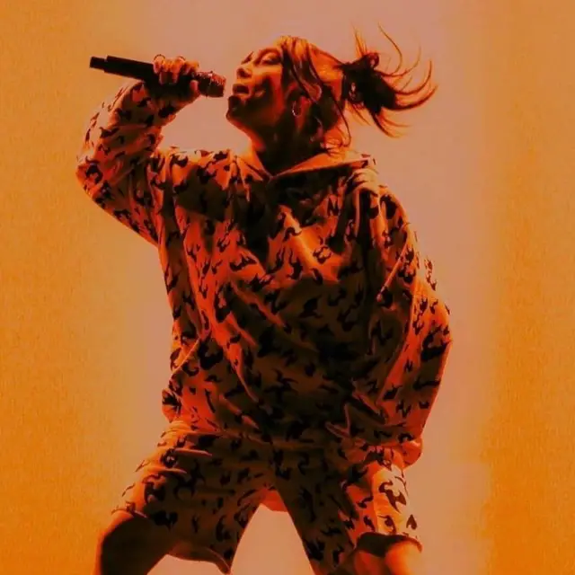 Billie Eilish outfit in LVXWA, 2020