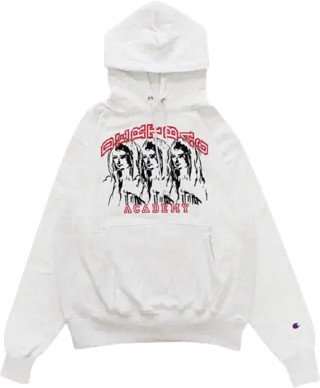 champion hoodie academy