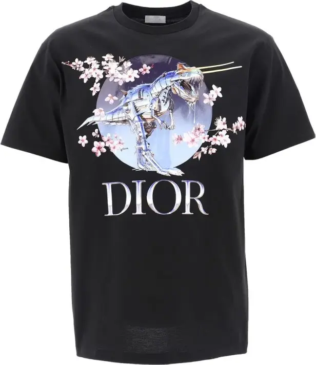 Dior Dinosaur Tee | WHAT'S ON THE STAR?
